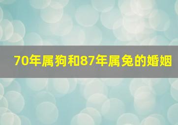 70年属狗和87年属兔的婚姻