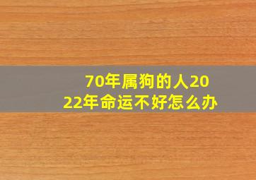 70年属狗的人2022年命运不好怎么办