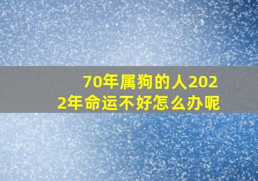 70年属狗的人2022年命运不好怎么办呢