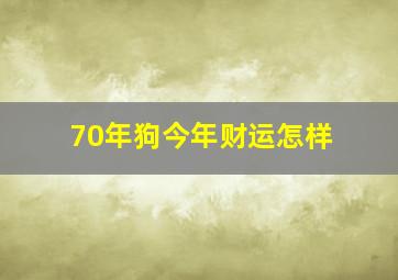 70年狗今年财运怎样