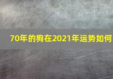 70年的狗在2021年运势如何