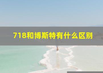 718和博斯特有什么区别