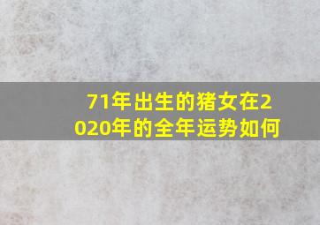 71年出生的猪女在2020年的全年运势如何