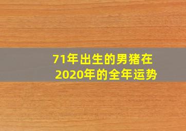 71年出生的男猪在2020年的全年运势