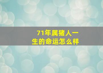 71年属猪人一生的命运怎么样