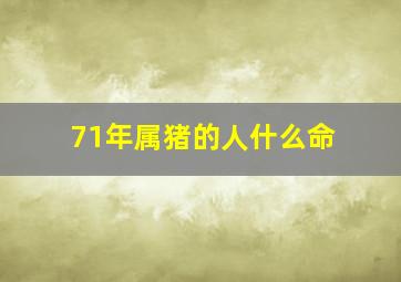 71年属猪的人什么命