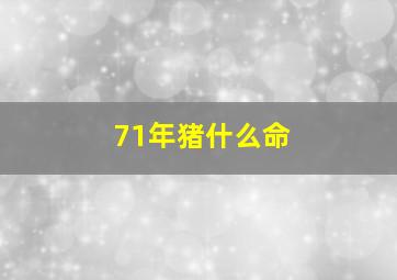 71年猪什么命