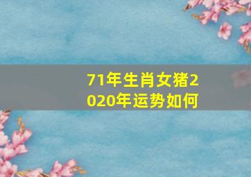 71年生肖女猪2020年运势如何