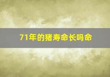 71年的猪寿命长吗命