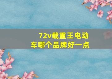 72v载重王电动车哪个品牌好一点