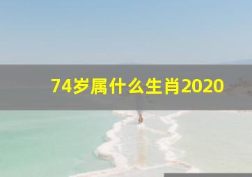 74岁属什么生肖2020