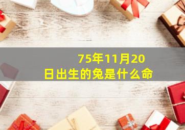 75年11月20日出生的兔是什么命