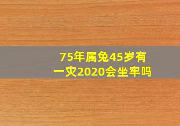 75年属兔45岁有一灾2020会坐牢吗