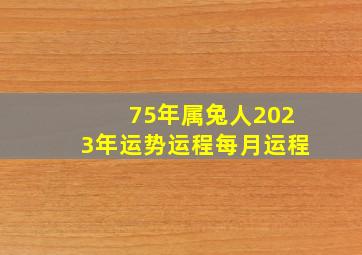 75年属兔人2023年运势运程每月运程