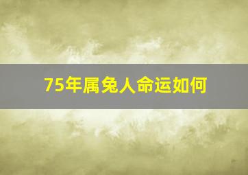 75年属兔人命运如何