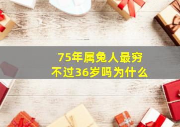 75年属兔人最穷不过36岁吗为什么