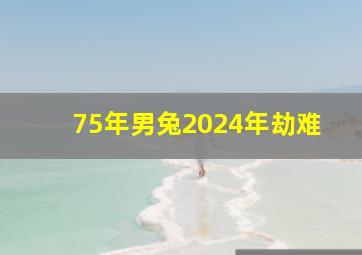 75年男兔2024年劫难