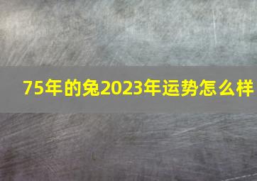 75年的兔2023年运势怎么样