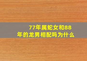 77年属蛇女和88年的龙男相配吗为什么