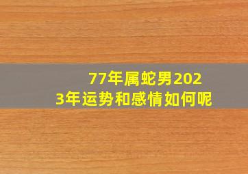 77年属蛇男2023年运势和感情如何呢