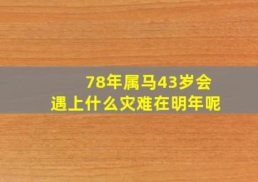 78年属马43岁会遇上什么灾难在明年呢