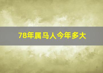 78年属马人今年多大