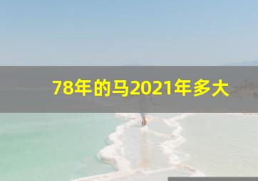 78年的马2021年多大