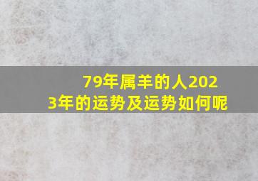 79年属羊的人2023年的运势及运势如何呢