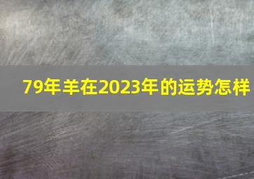 79年羊在2023年的运势怎样