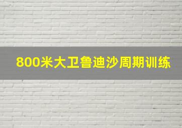 800米大卫鲁迪沙周期训练