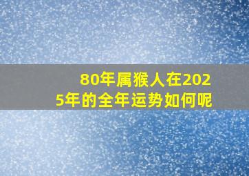 80年属猴人在2025年的全年运势如何呢