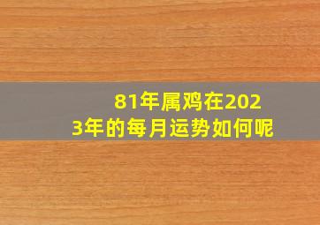 81年属鸡在2023年的每月运势如何呢