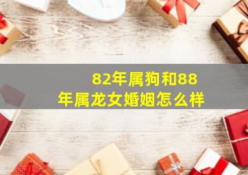 82年属狗和88年属龙女婚姻怎么样