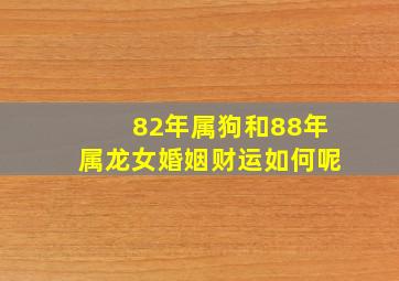 82年属狗和88年属龙女婚姻财运如何呢