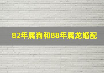 82年属狗和88年属龙婚配