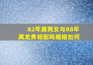 82年属狗女与88年属龙男相配吗婚姻如何