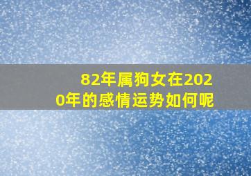 82年属狗女在2020年的感情运势如何呢