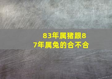 83年属猪跟87年属兔的合不合