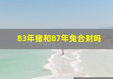 83年猪和87年兔合财吗