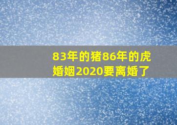 83年的猪86年的虎婚姻2020要离婚了