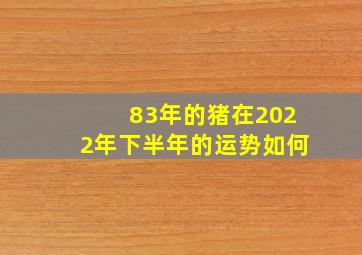 83年的猪在2022年下半年的运势如何