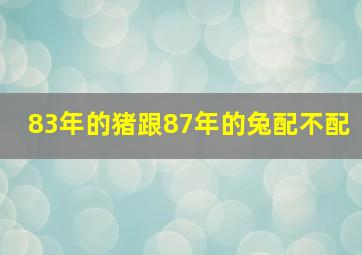 83年的猪跟87年的兔配不配