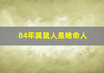 84年属鼠人是啥命人