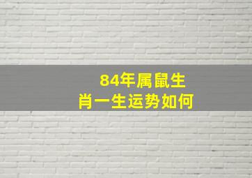 84年属鼠生肖一生运势如何