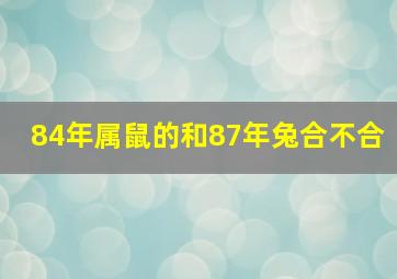 84年属鼠的和87年兔合不合