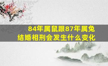 84年属鼠跟87年属兔结婚相刑会发生什么变化