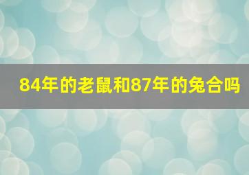 84年的老鼠和87年的兔合吗