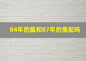 84年的鼠和87年的兔配吗