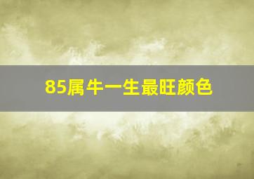 85属牛一生最旺颜色