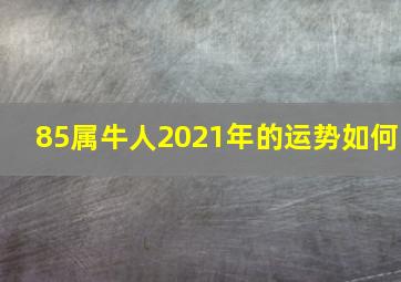 85属牛人2021年的运势如何